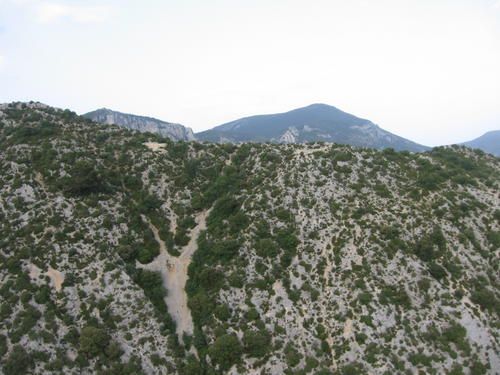 IMG-0459.JPG