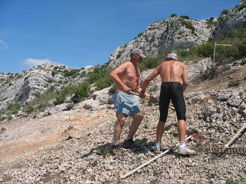 IMG-1119.jpg