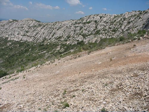 IMG-1121.jpg