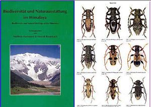 HimalayaCerambycidae.jpg