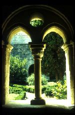 Cloître de l'Abbaye de Silvacane