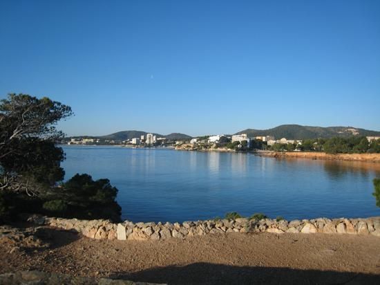 Palma Palma