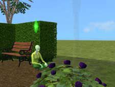 Nisi assise dans son jardin - 3