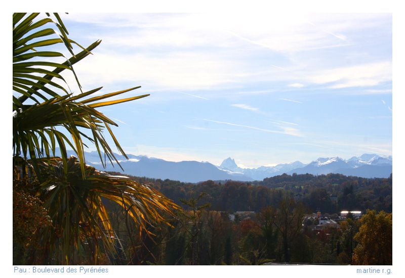 Comment appelle t on les habitants de......'villes de france - Page 11 Pau-boulevard-des-pyrenees
