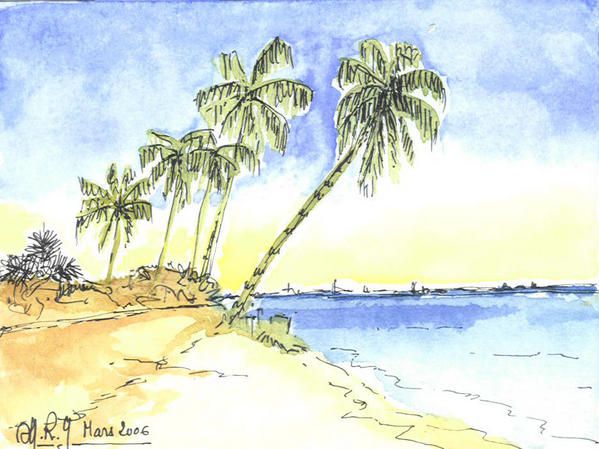 ANGOLA - Palmiers sur l'île de Mussolo