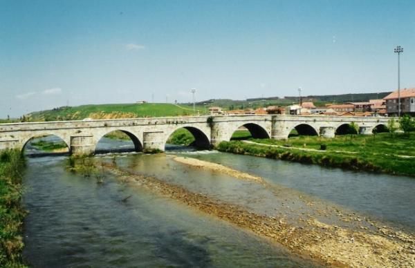 Puente del Castro, Léon