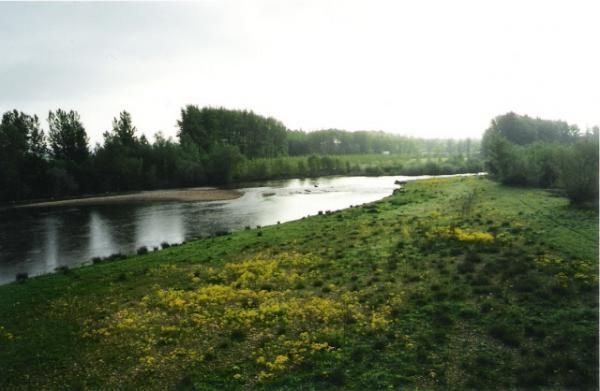 Rio Esla, Mansilla de las Mulas