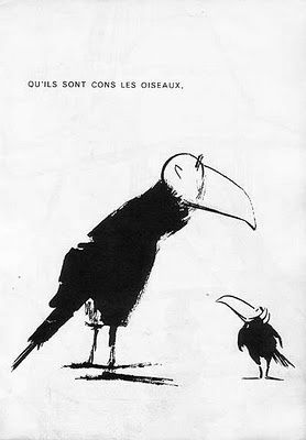 chaval oiseaux sont cons