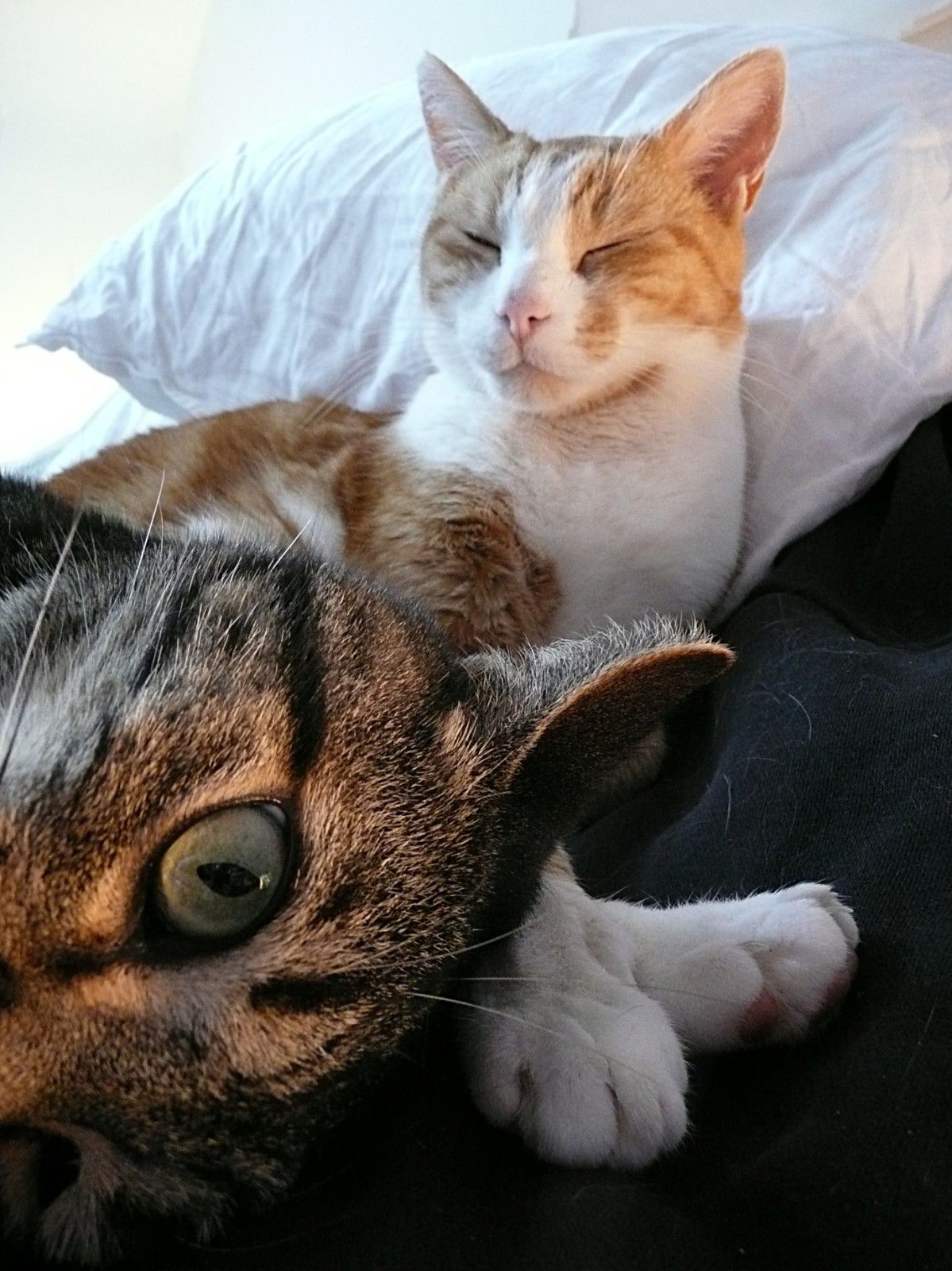 rencontre avec les amis de mon copain