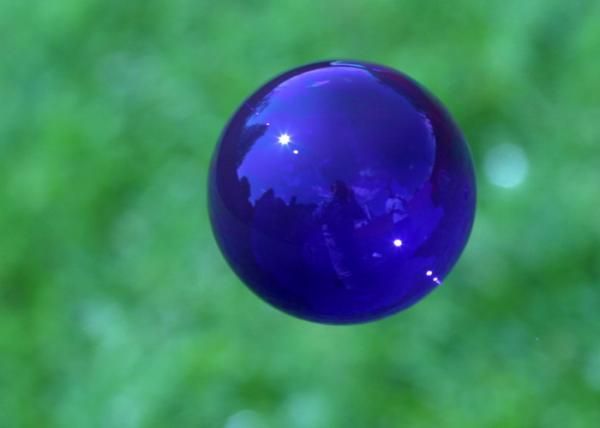 zubble bleue