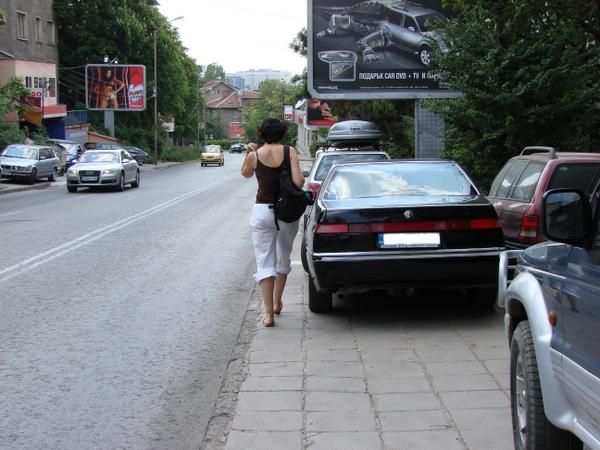 DSC00490-.jpg