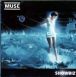 muse.jpg