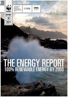 The Energy Report WWF 100 EnR 2050
