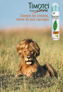 Timotei_lionne.jpg
