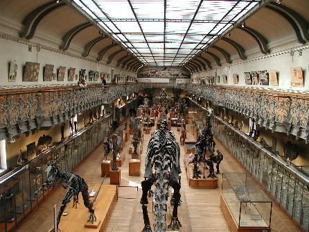 La disparition des dinosaures liée à leurs oeufs ? la-disparition-des-dinosaures-liee-a-leurs-oeufs