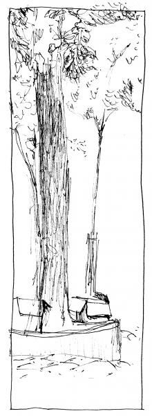 L'image « http://idata.over-blog.com/0/03/63/43/essais-divers/dessin/arbres.jpg » ne peut être affichée, car elle contient des erreurs.