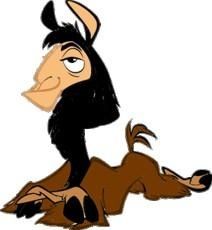 kuzco-7.jpg