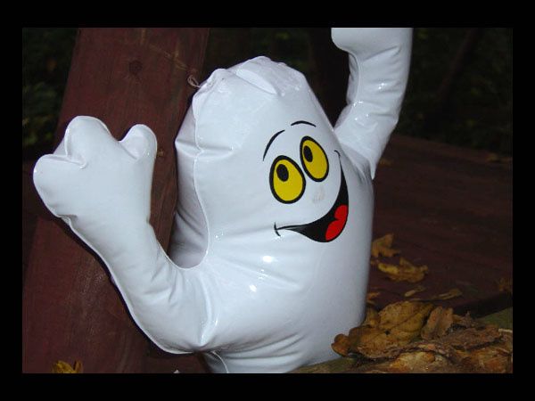 fantome-des-bois.jpg