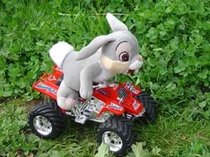 Blagues de lapins : L'ours, le lapin et la grenouille Lapin-sur-moto