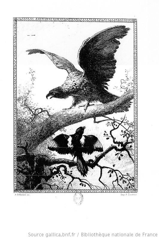 Gravure fables de La Fontaine : L'aigle et la pie