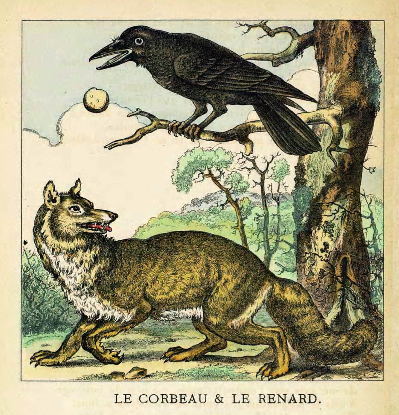 Illustration-dessin-image couleur fable de La Fontaine : le corbeau et le renard