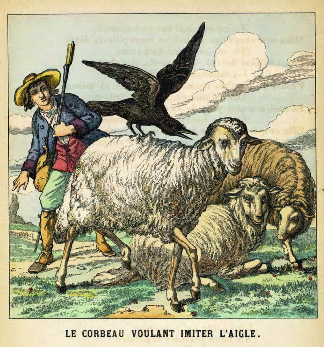 Illustration-dessin-image couleur fable de La Fontaine : le corbeau voulant imiter l aigle