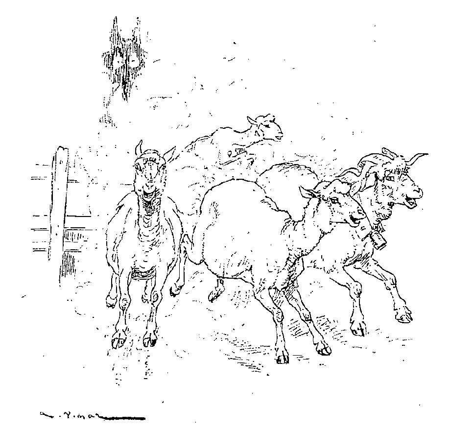 Illustration dessin Vimar fable de La Fontaine le berger et son troupeau
