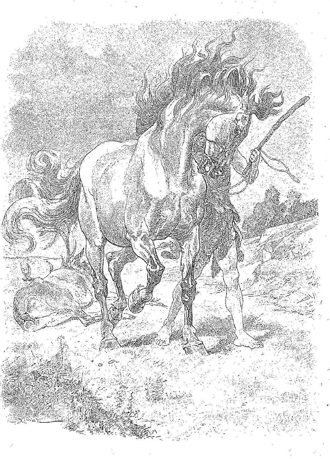 Illustration-dessin Vimar fable de La Fontaine : le cheval s etant voulu venger du cerf