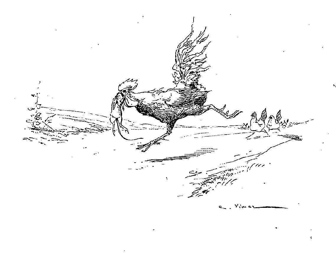 Illustration dessin Vimar fable de La Fontaine le coq et la perle