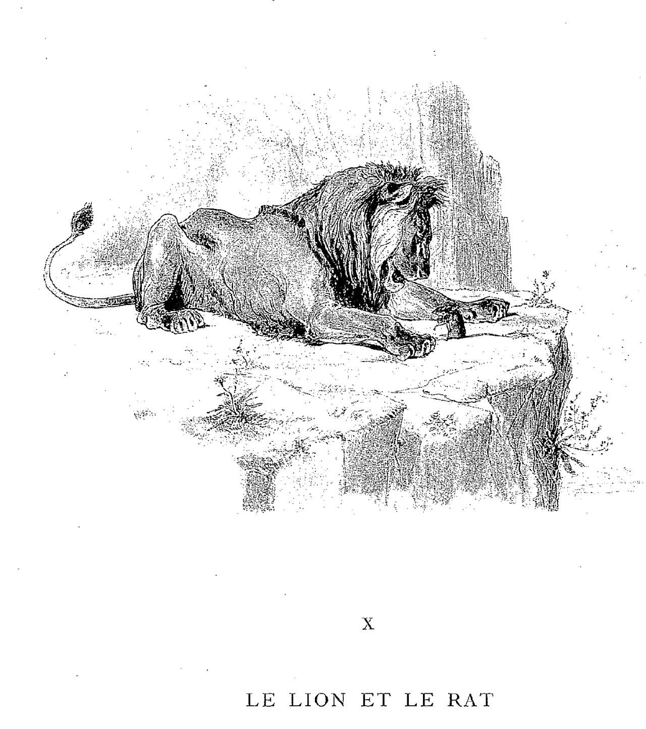 Illustration dessin Vimar fable de La Fontaine le lion et le rat Illustration dessin Vimar fable de La Fontaine le lion et le rat