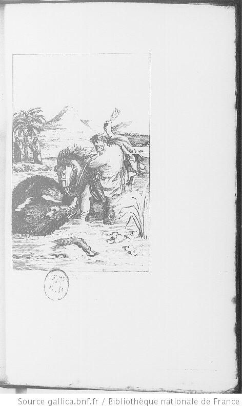 Illustration-dessin fable de Phèdre : Le cheval et le sanglier