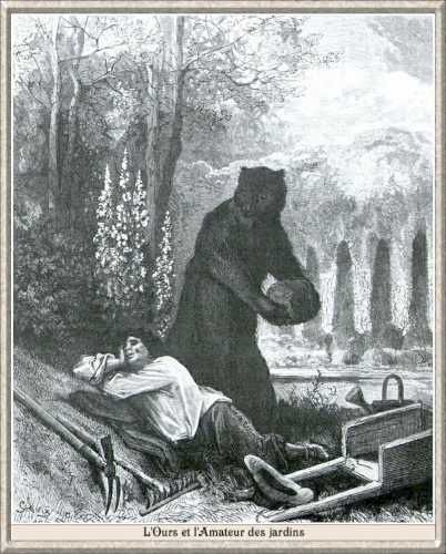 gravure fable de la fontaine - illustration dore - l ours et l ama