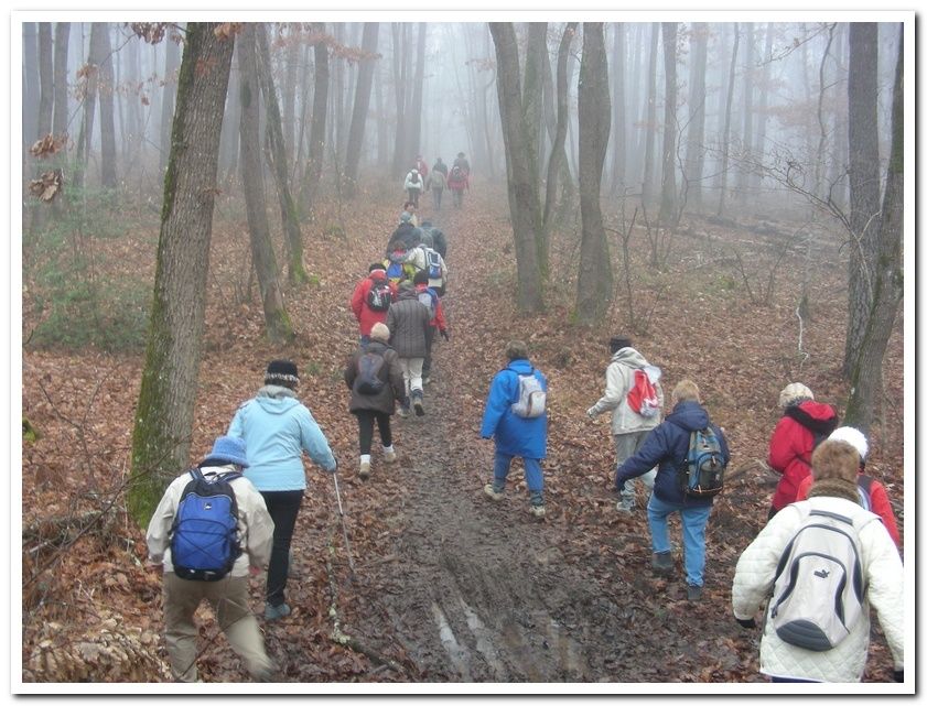 rencontre foret de rambouillet