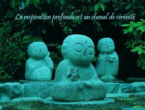 meditat2.jpg