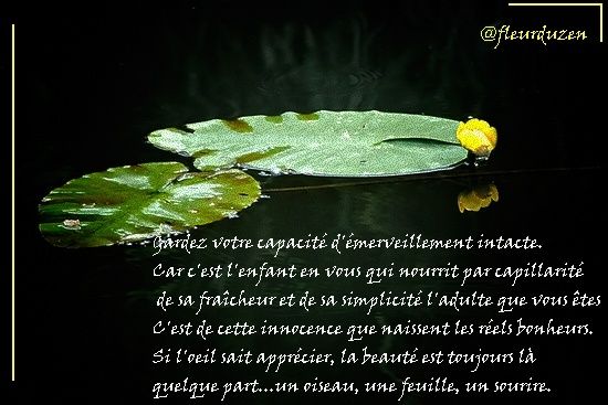 contempler est très bon pour la santé