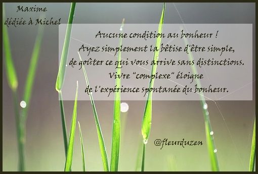 intelligence de la simplicité