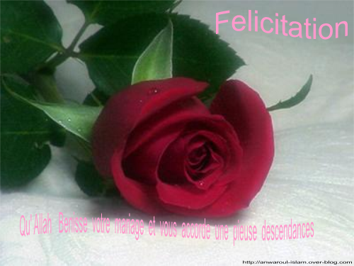 rose3.png