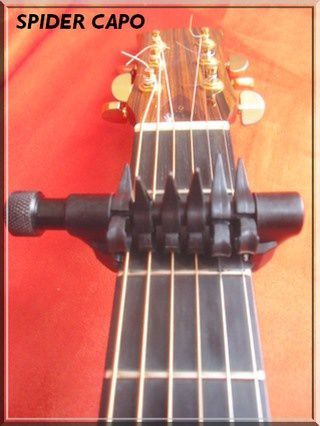 spider capo spider capo