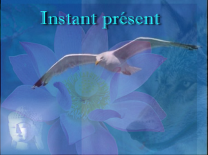 instant_present-2.png