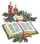 Livre d'Or Noël animé (lampes) - http://c.s.s.over-blog.com/