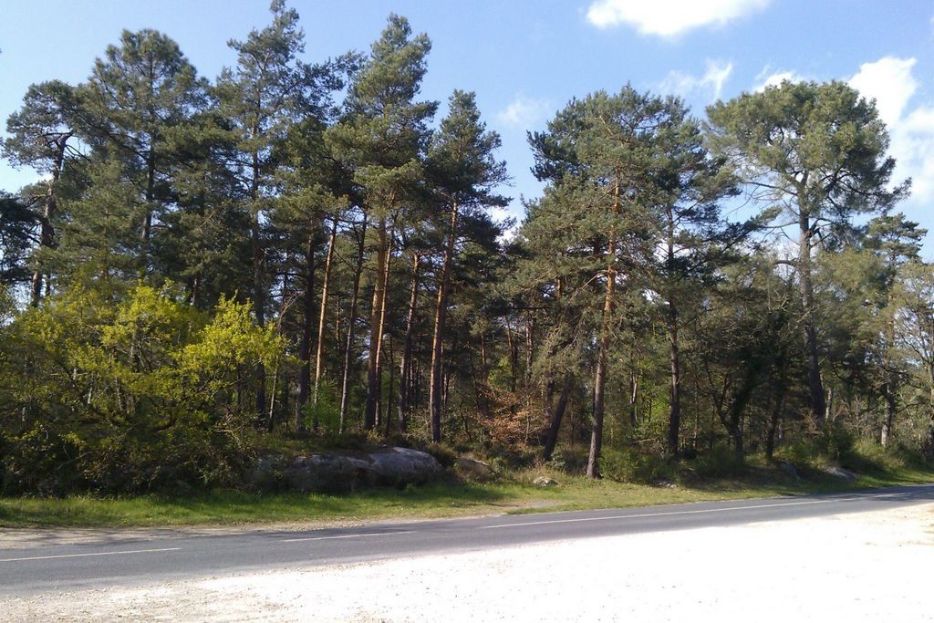 lieux de rencontre foret de fontainebleau