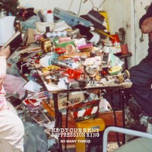 Eddy Current Suppression Ring - So Many Things