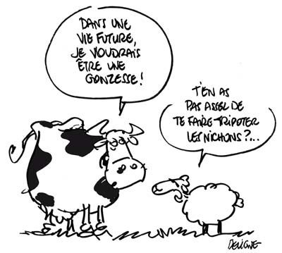 vache-copie-1.jpg