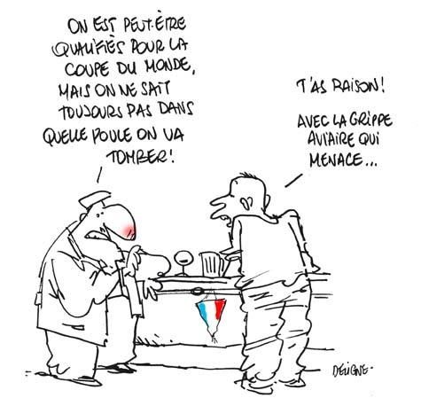 [Image: poule.jpg]