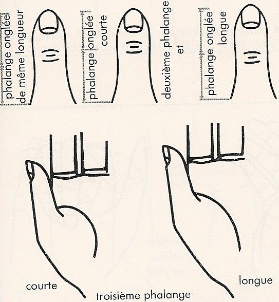 Image-3.jpg