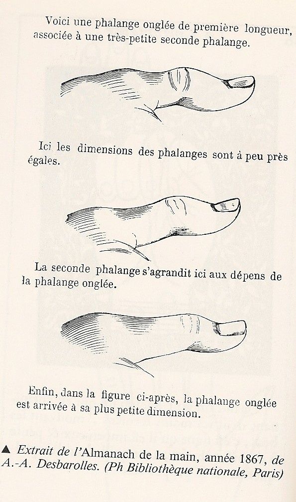 Image-6.jpg