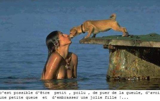 amour.jpg