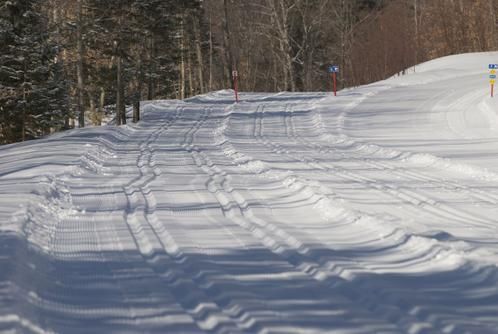 DSC_0049_3.jpg