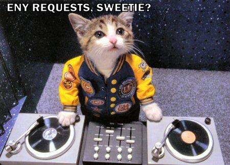 Le-premier-chat-DJ