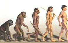 evolution-de-l-homme3.jpg